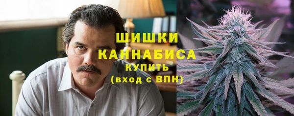 крисы Белокуриха