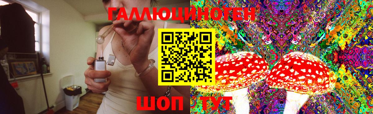 Улан-Удэ  Галлюциногенные грибы MAGIC MUSHROOMS  как найти   Вход с VPN 